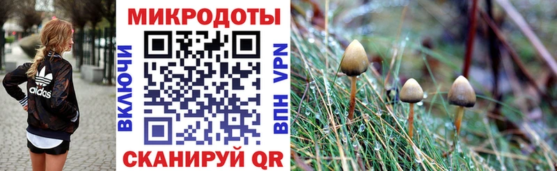 Псилоцибиновые грибы MAGIC MUSHROOMS  Егорьевск 